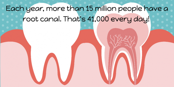 More than 15 million root canals are done each year. 